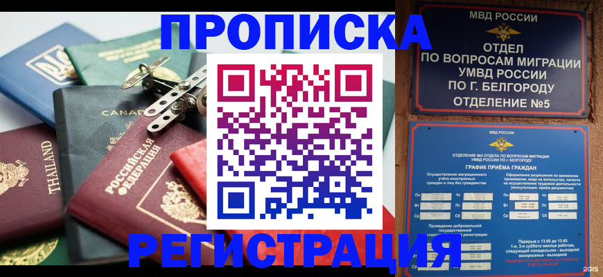 временная регистрация недорого в Кашире